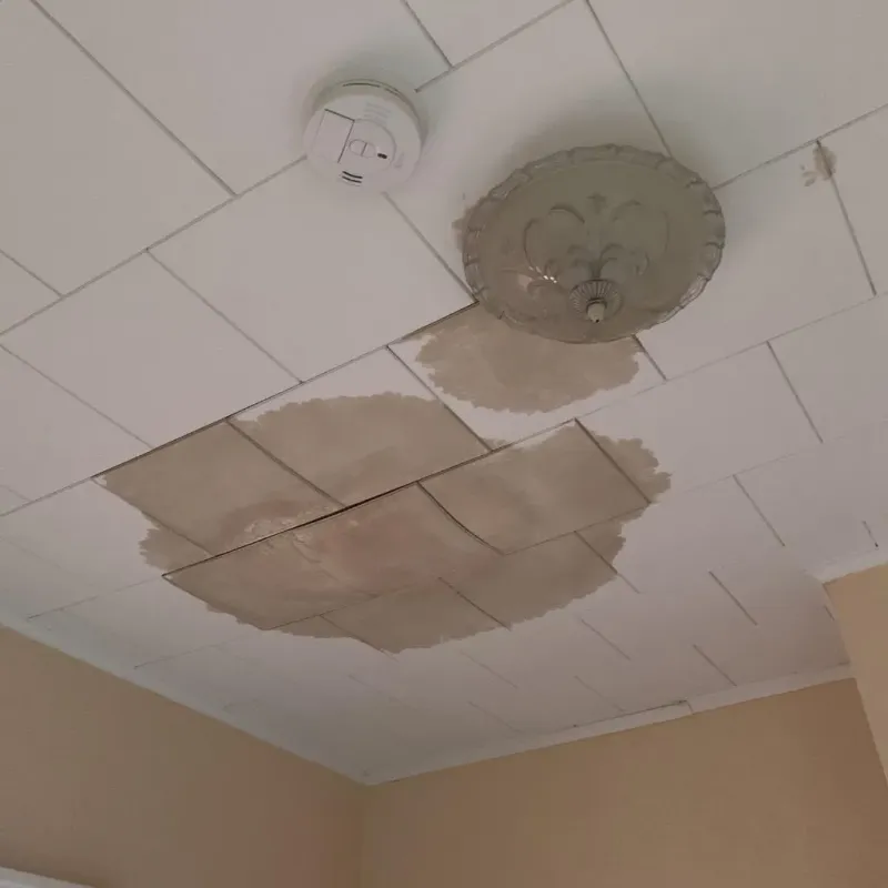 Ceiling Water Damage Repair in Meade County, KS
