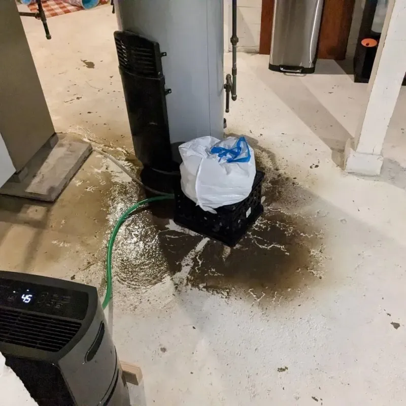Sewage Backup Cleanup Service in Meade County, KS